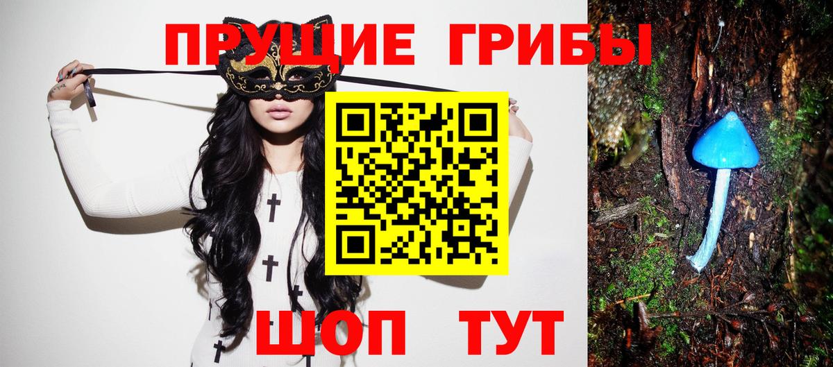 Галлюциногенные грибы Psilocybe Еманжелинск